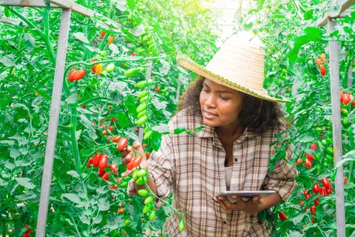 a blacked guy with a pink dyed hair in the market buying oranges